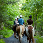 Horseback Riding at the Resort