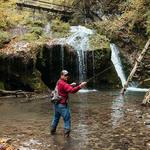 Fly Fishing on the Cascades Stream