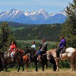 Swift Creek Outfitters - Teton Horseback Adventures