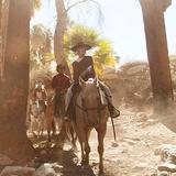 Smoke Tree Stables