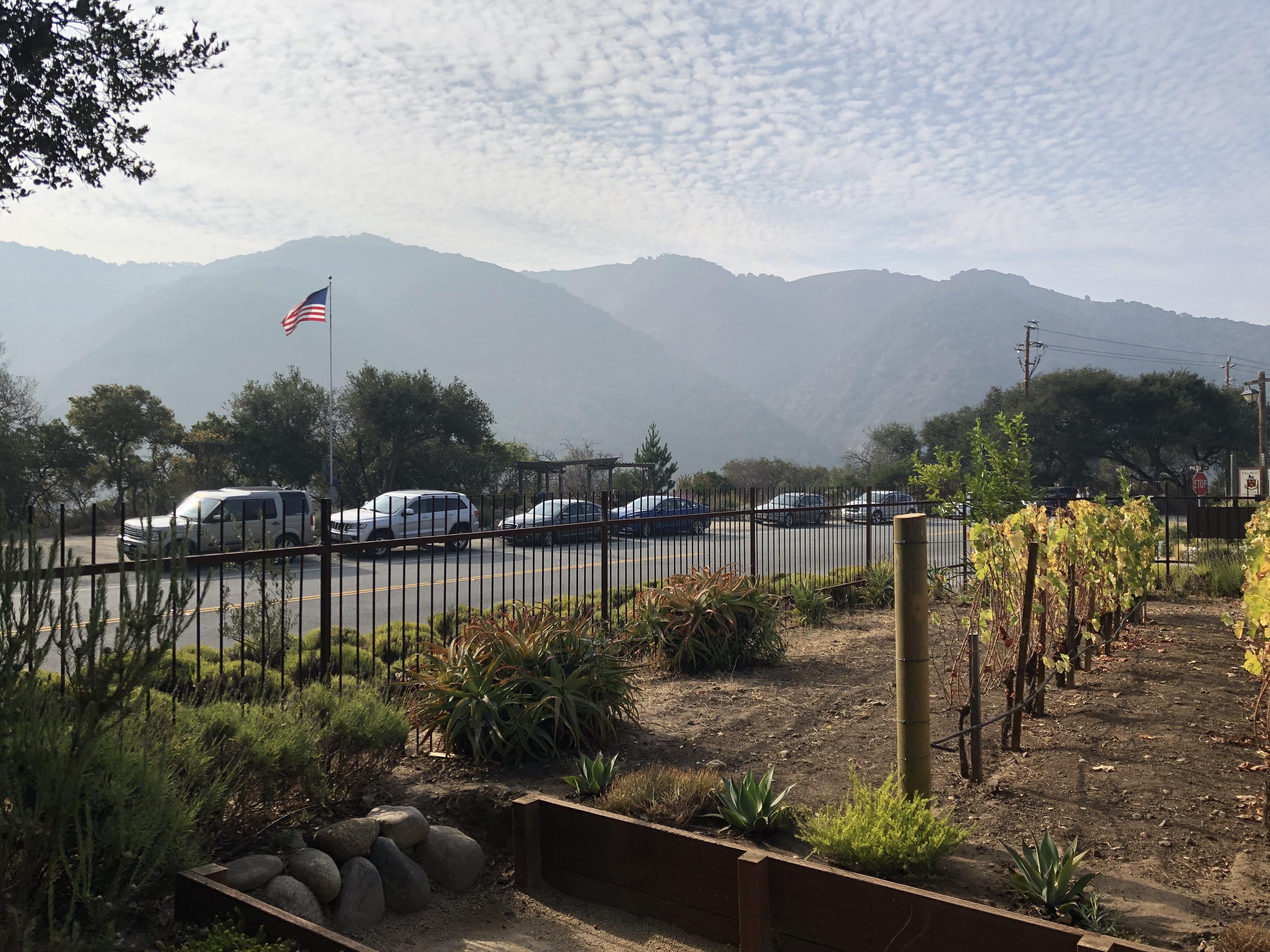 The Wedding Website of Adrian Diaz and Gigi Lewis