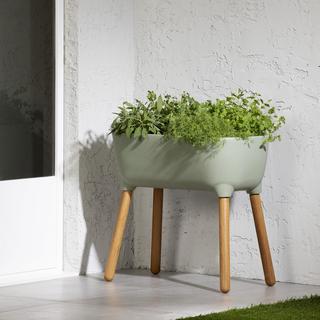 Dalya Raised Planter
