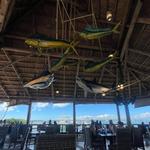 Islamorada Fish Company