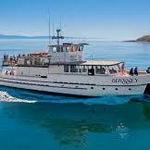 San Juan Excursions Whale & Wildlife Tours