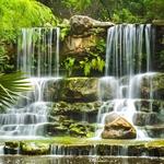 Zilker Botanical Garden