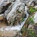 Whitney Canyon Park