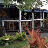 The Hanalei Dolphin
