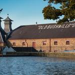 Old Bushmills Distillery