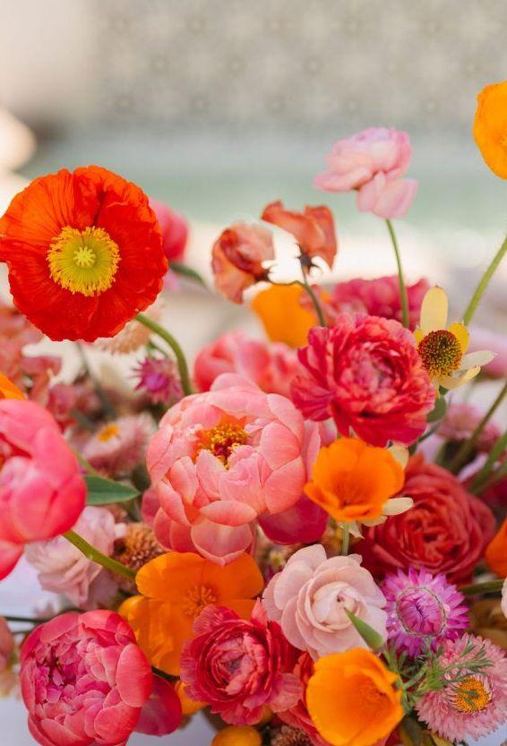 The Wedding Website of Alexandra Oyola Niguyen and Michael Traver-Greene