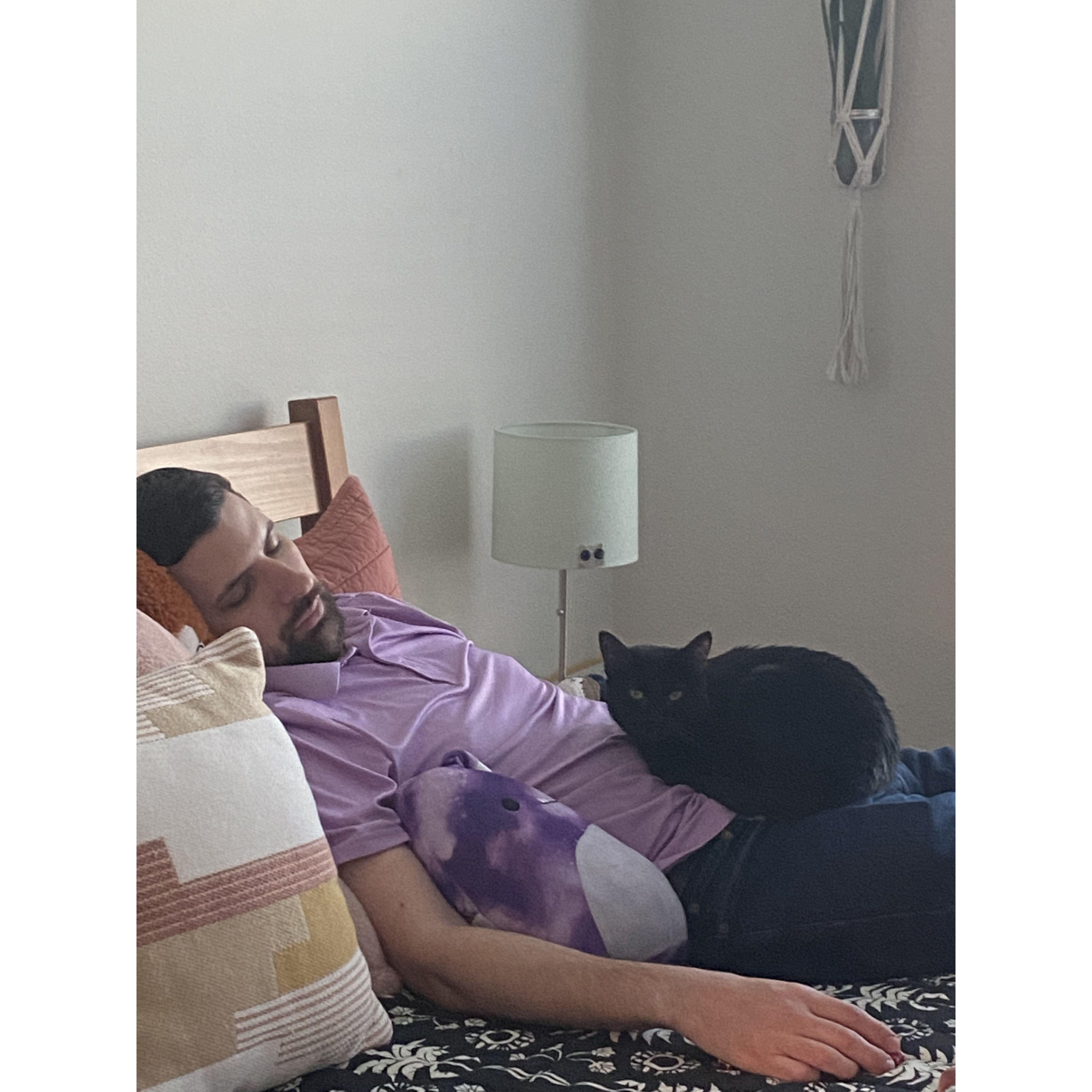 Wednesday (Valery's cat, passed away March 2023) napping with her favorite guy... again