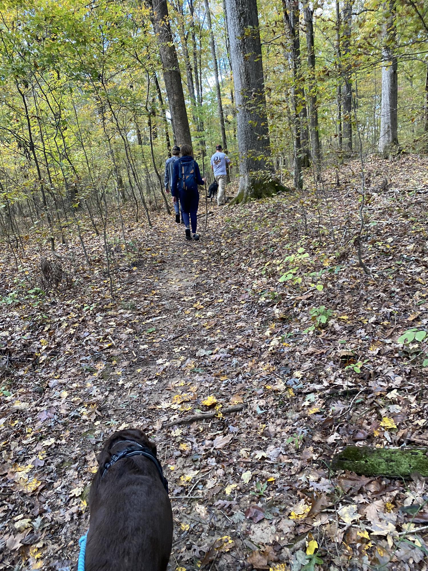 Hiking at Montgomery Bell State Park, 10/31/2021 with the Hoard twins