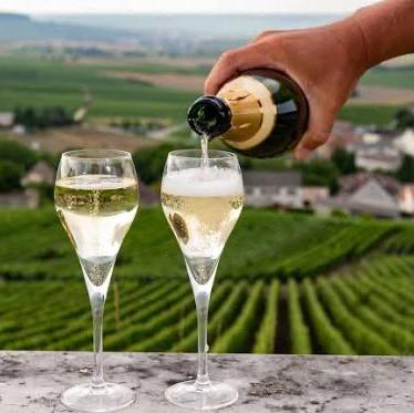 Champagne Tour in Paris on Honeymoon