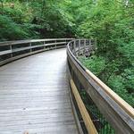 Monticello Walking Trial