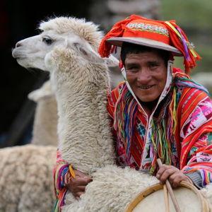 Alpaca Wool Fund