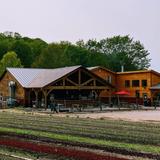 9 Bean Rows