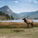 Lake Estes Trail