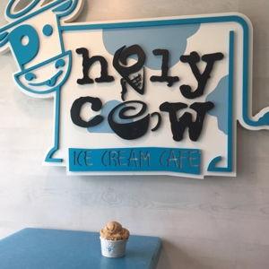 Holy Cow Ice Cream Cafe