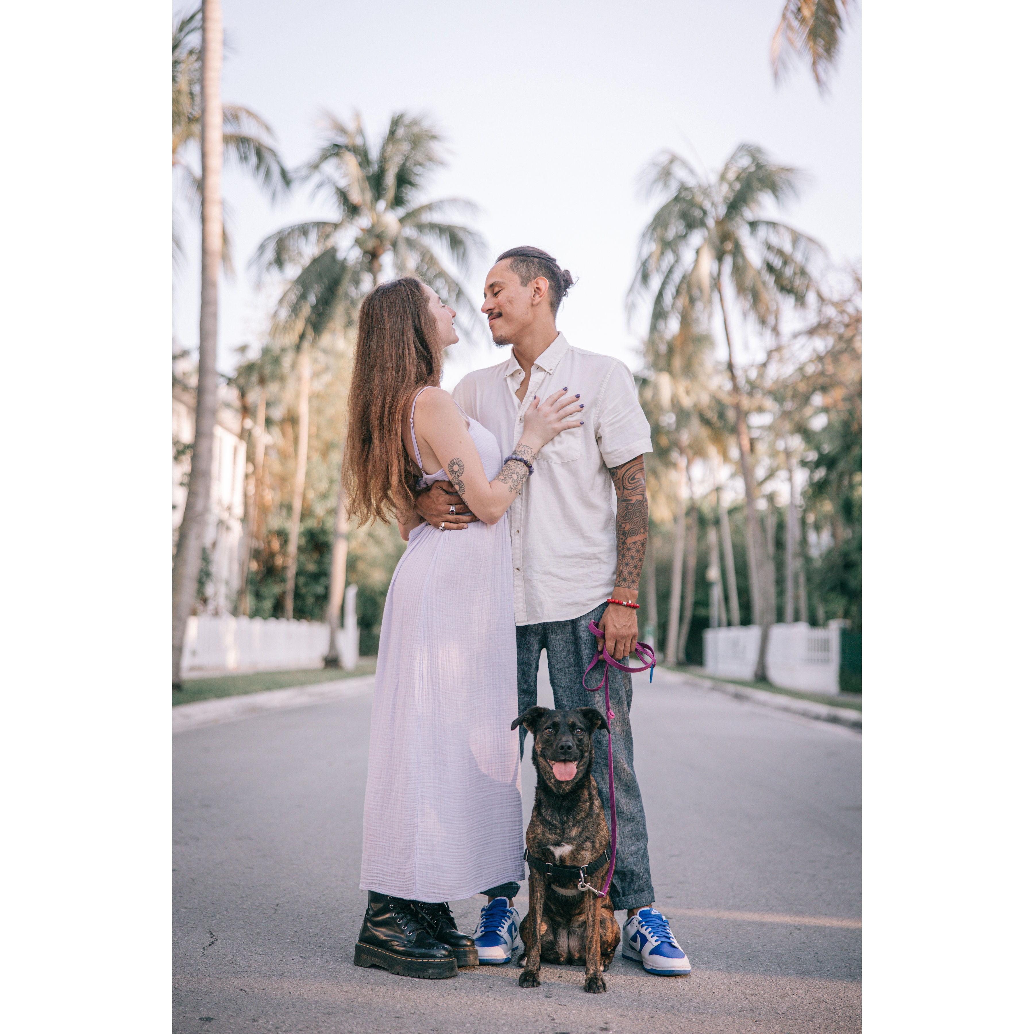 Of course we had to include Wiggles in our engagement shoot!