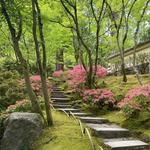 Portland Japanese Garden