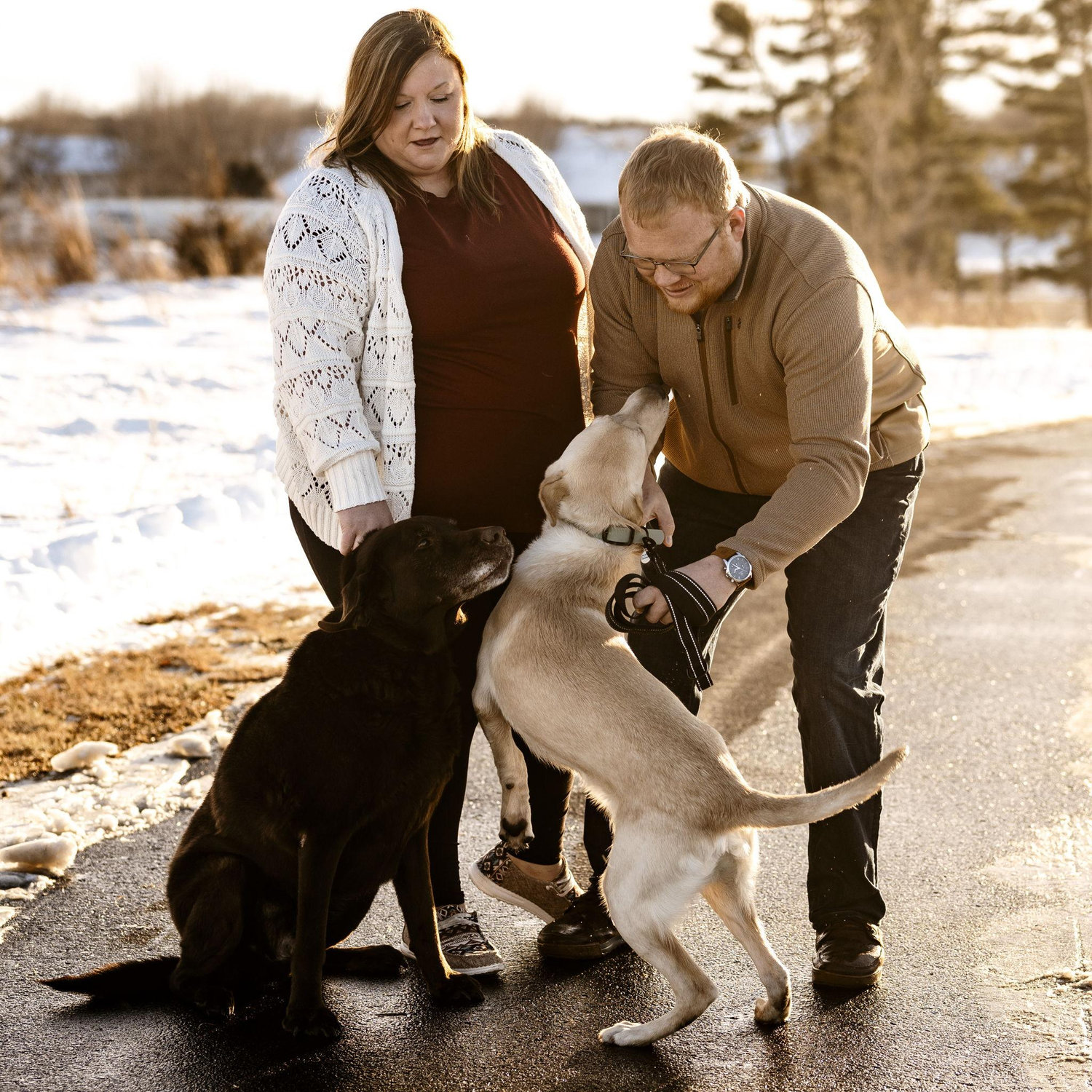 Steven, Jenna, Luke (Chocolate lab), Harvey (Yellow Lab)