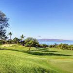 Kapalua Golf - The Plantation Course