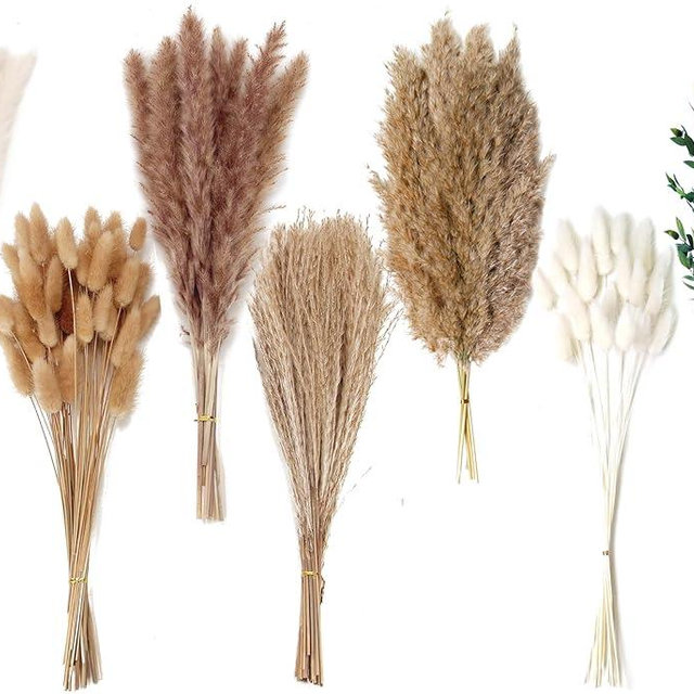123 PCS Dried Flower Bouquet – Pampas Grass, Floral Decor for Home, Wedding, and Boho Style | Perfect for Vases, Fall, Spring, Summer, and Winter Arrangements
