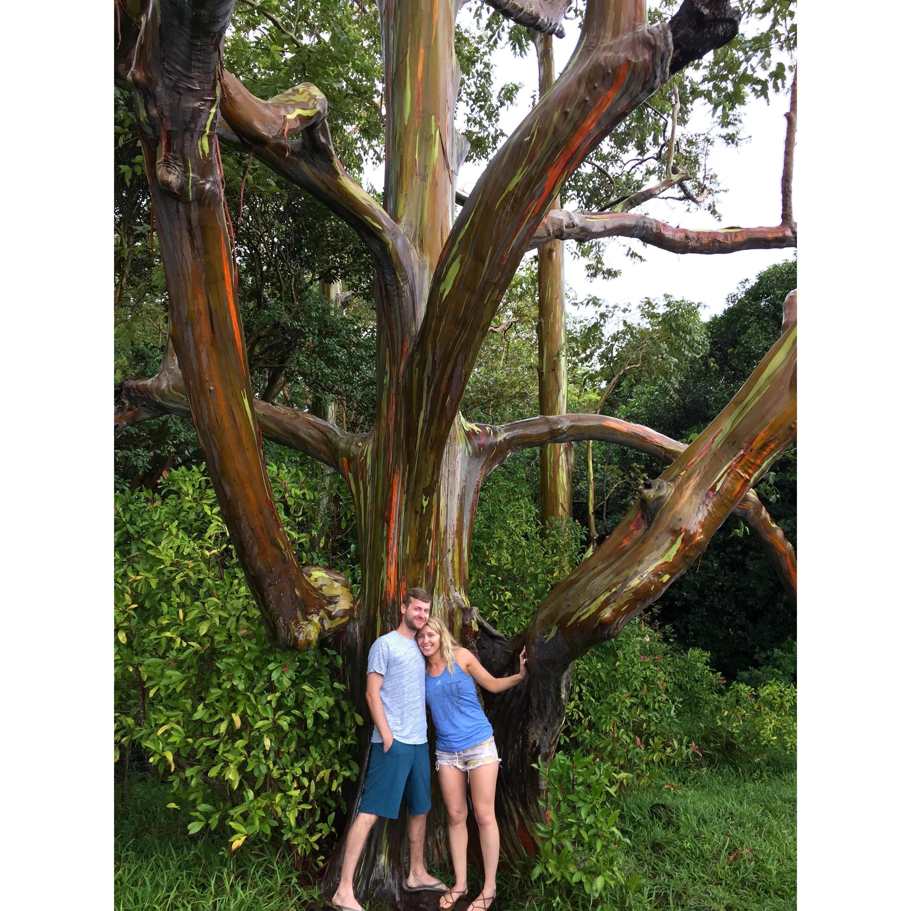 On a trip to Maui last year to visit Ryan's sister, Jenn.