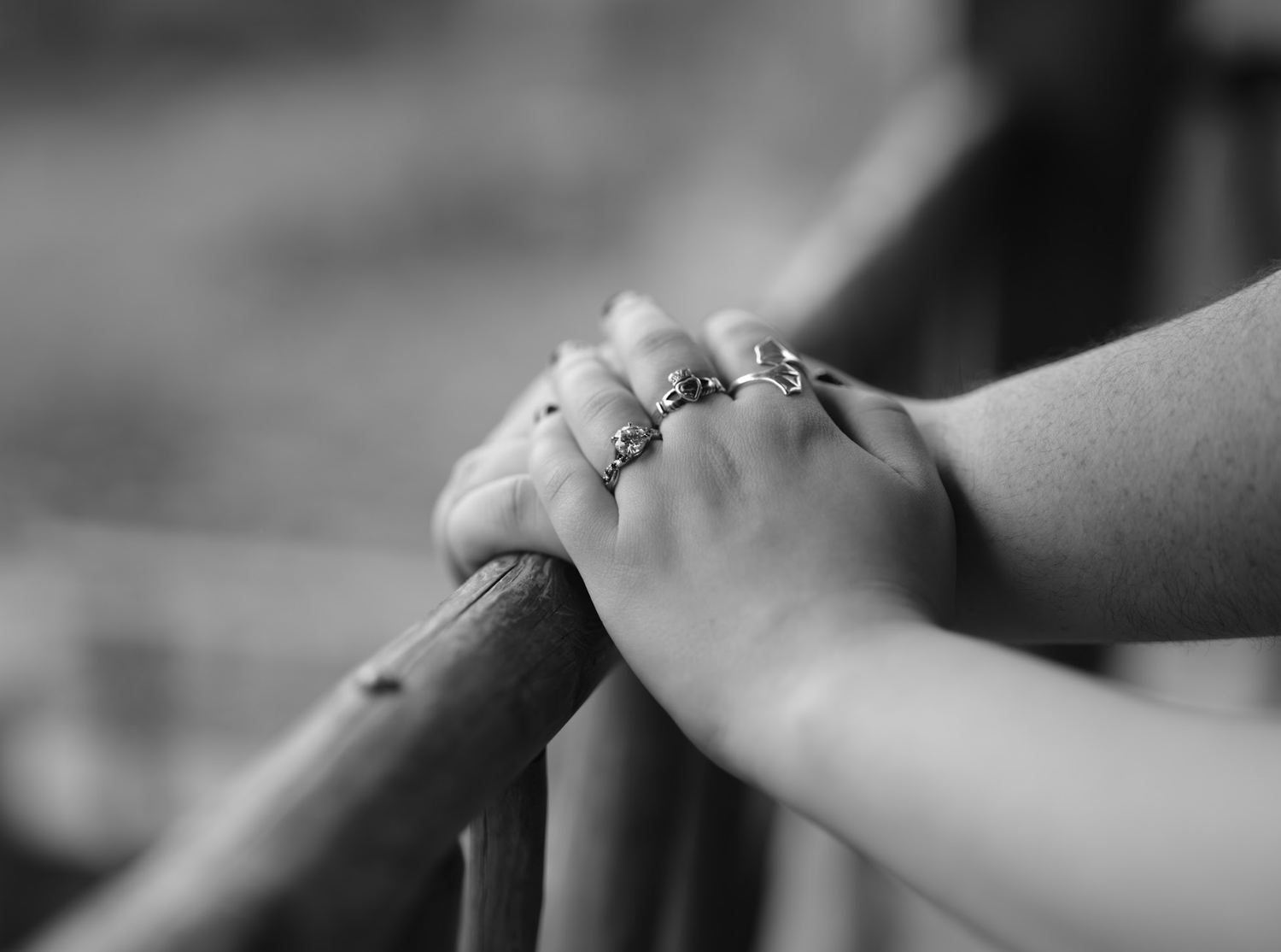 The Wedding Website of Katie Dantoni and Adam Kohane