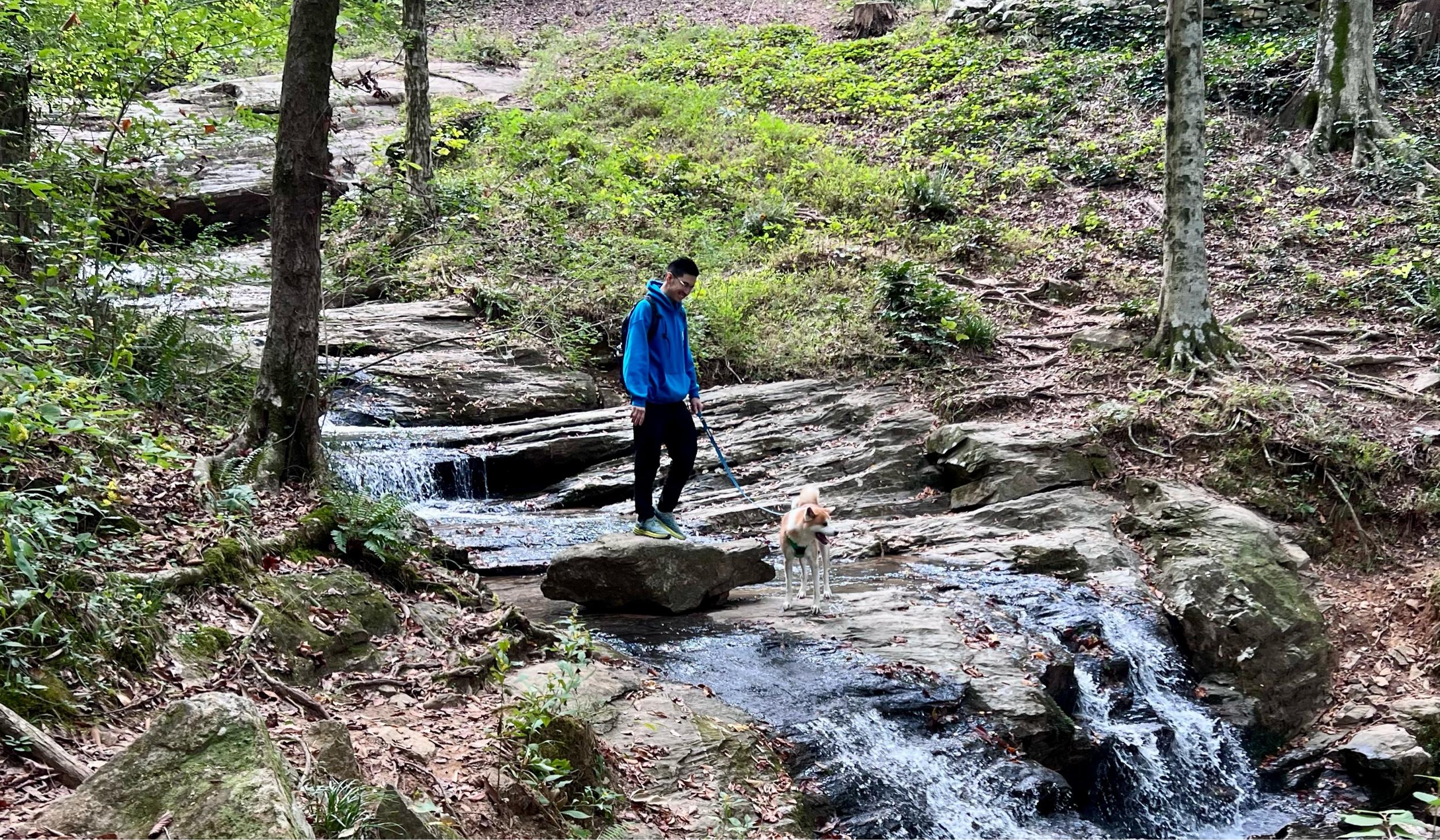 The Wedding Website of Fiana Thacker and Forest Lee