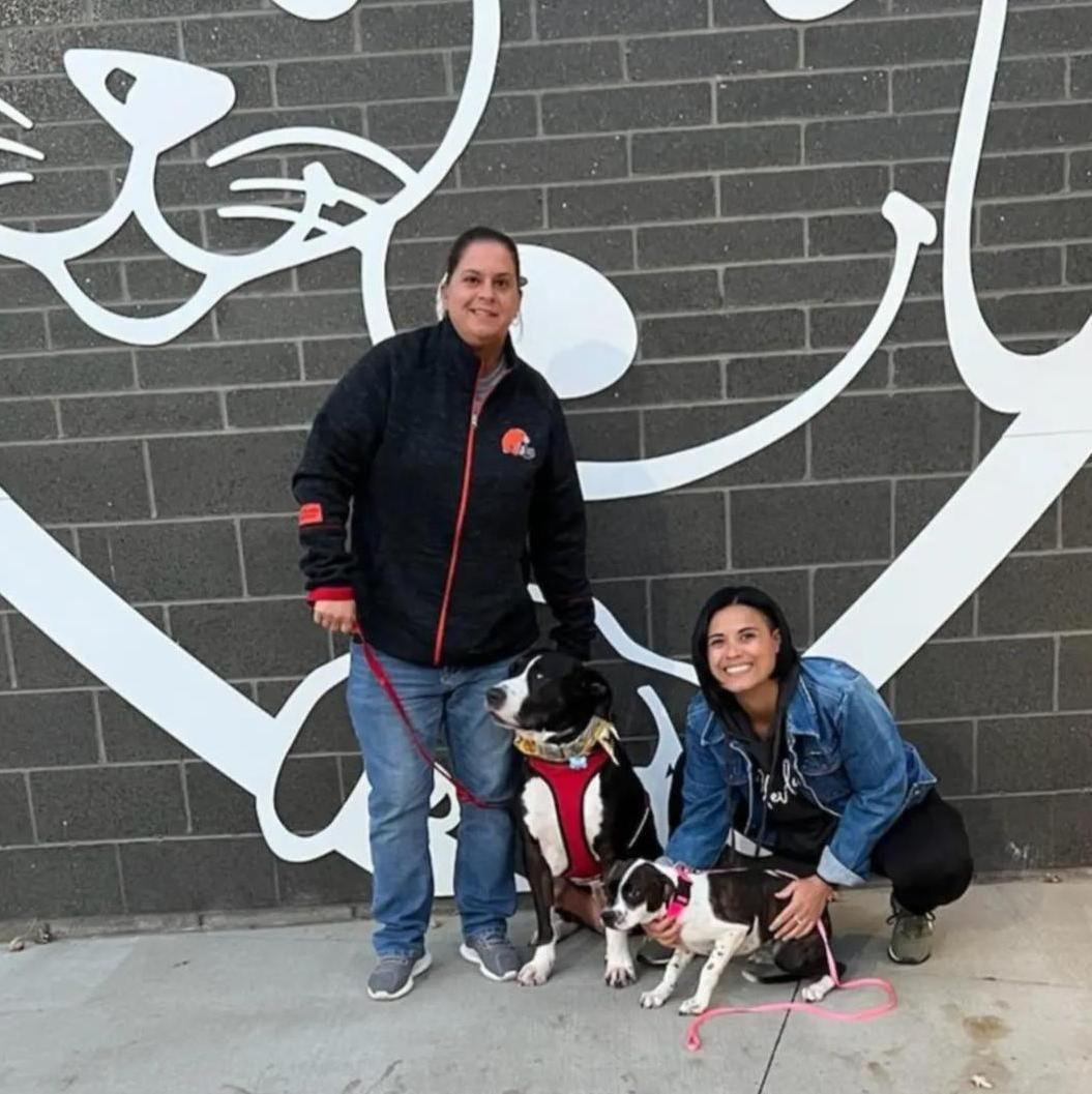 Violet Grace's gotcha day