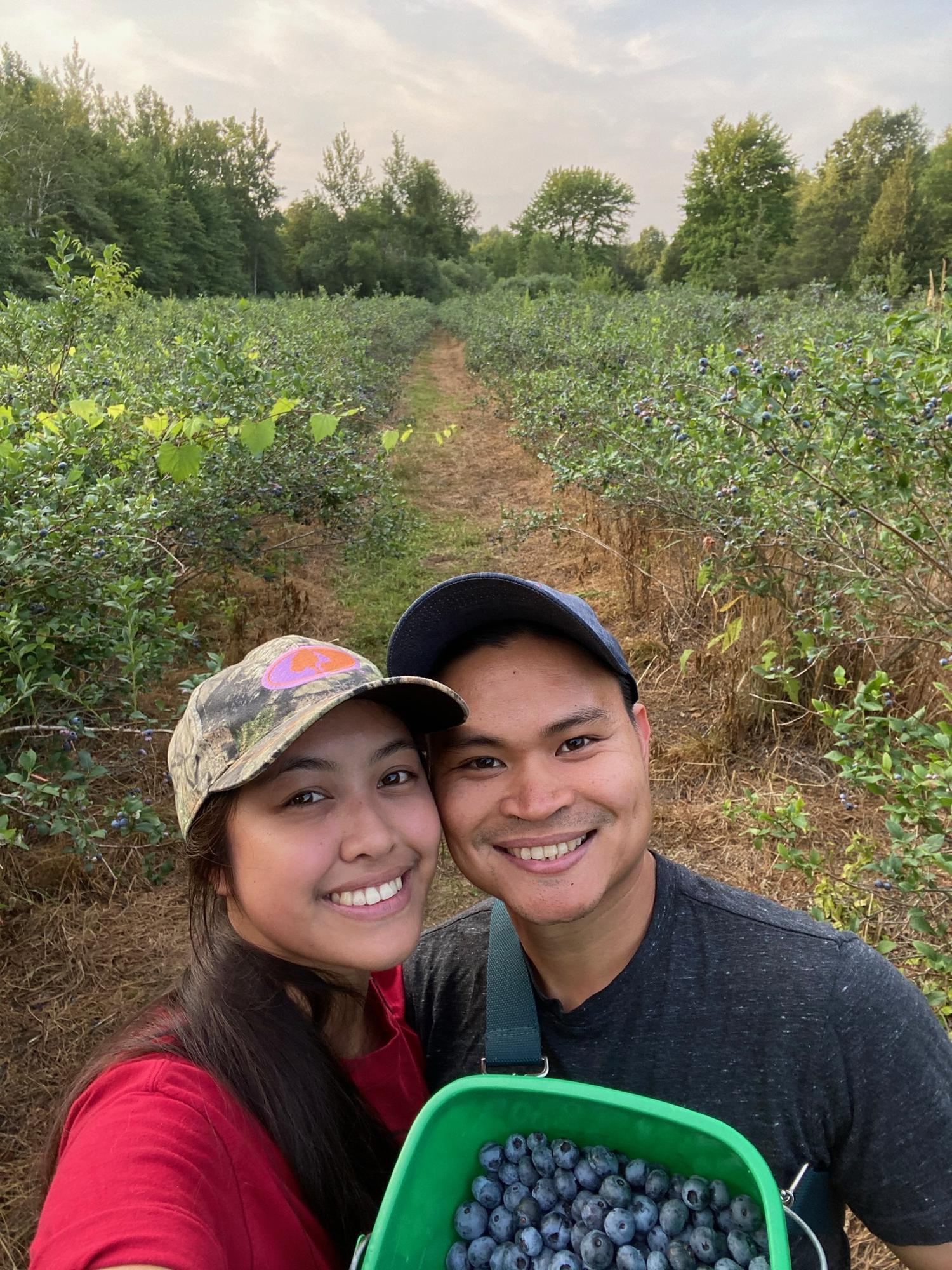 Aunty Florita’s blueberry farm