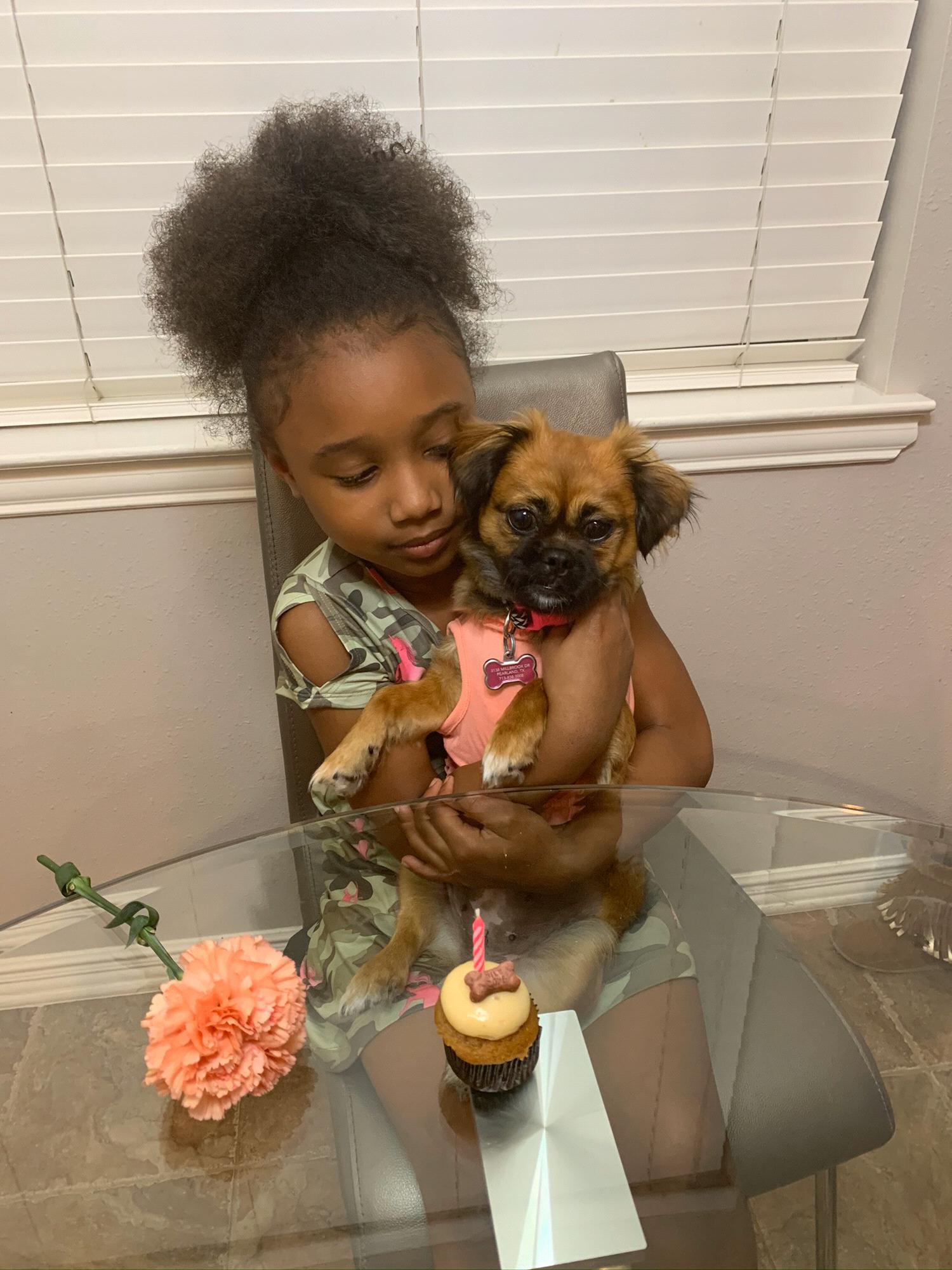 Lola's 1st birthday! 11/5/19 We adopted her at 5 weeks old. She celebrated with a carrot cake pup cake with peanut butter icing and a milk bone on top. It was good (yes they said it was ok for humans)