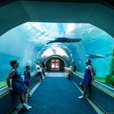 Pittsburgh Zoo & Aquarium