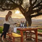 Casas del Bosque Winery