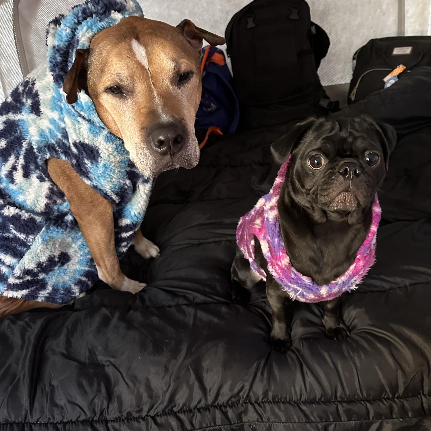 Camping