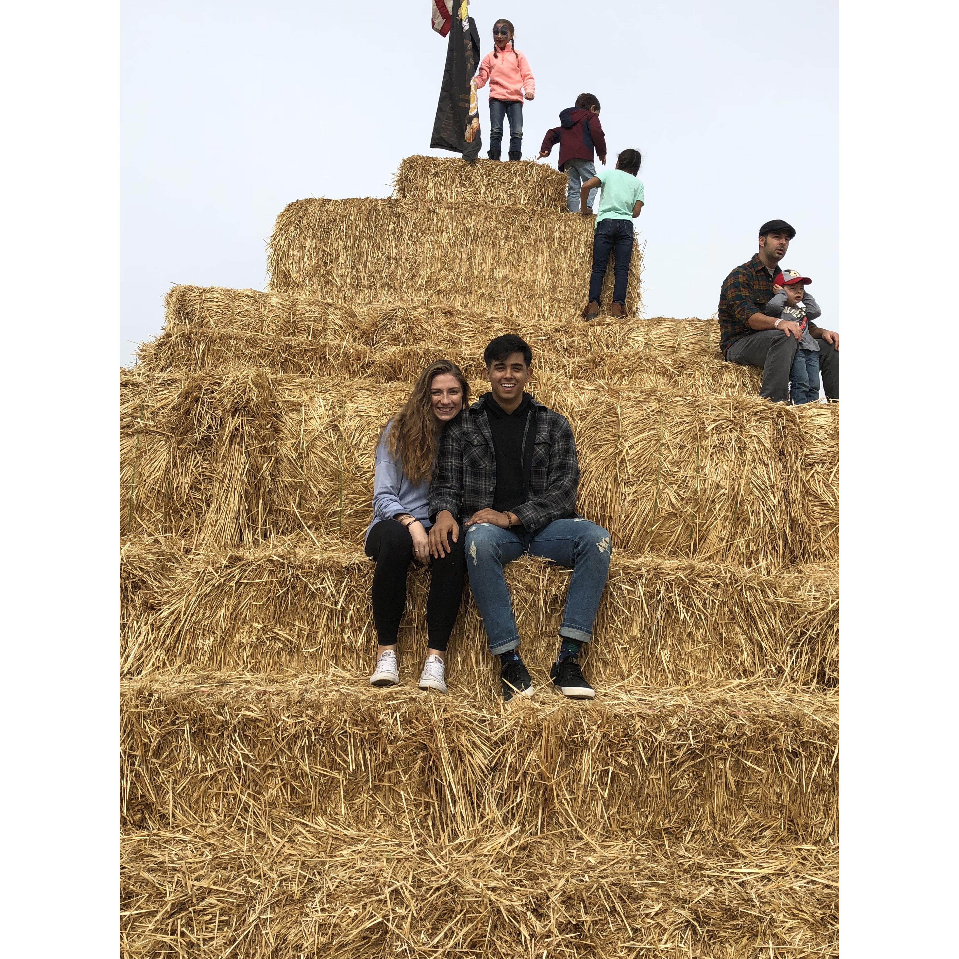 Annual Milton Farms Date 2018
