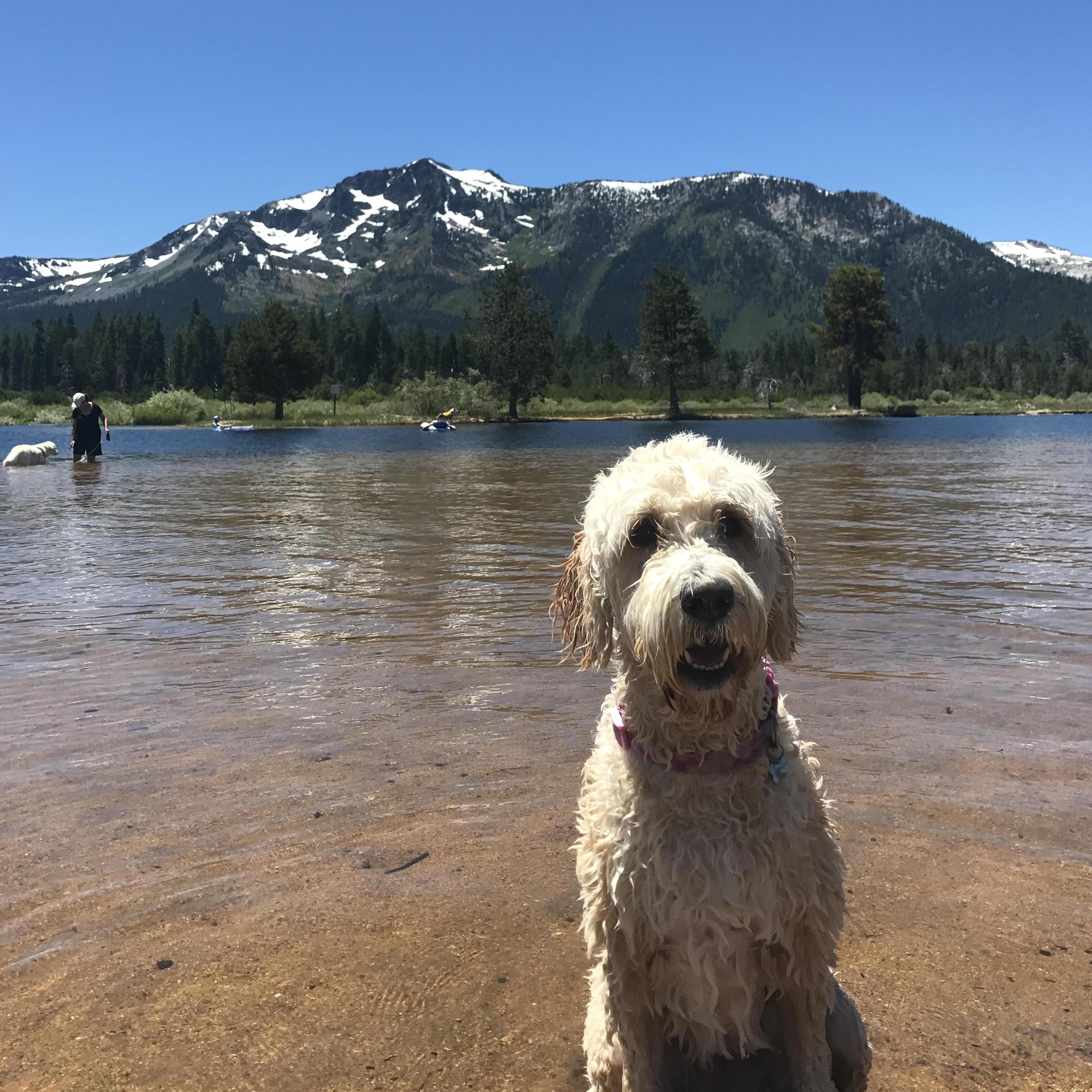 More Tahoe swimming adventures!