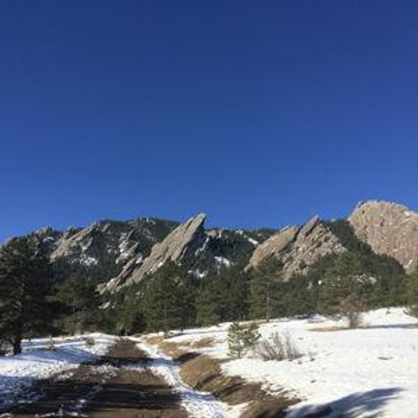 Denver House Fund (venmo)
