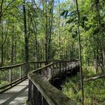 Iroquois National Wildlife Refuge