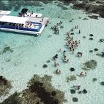 Stingray City Antigua for all the ages - ROUND TRIP INCLUDED