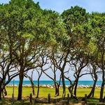 Fort Fisher State Recreation Area