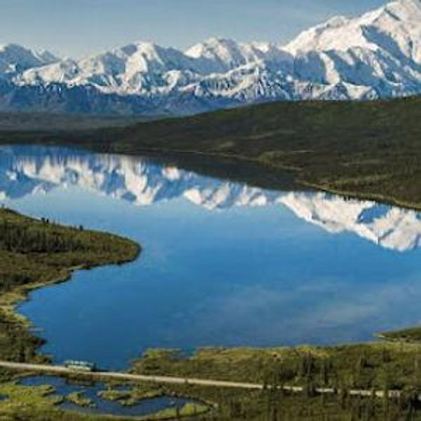 Denali National Park Tours