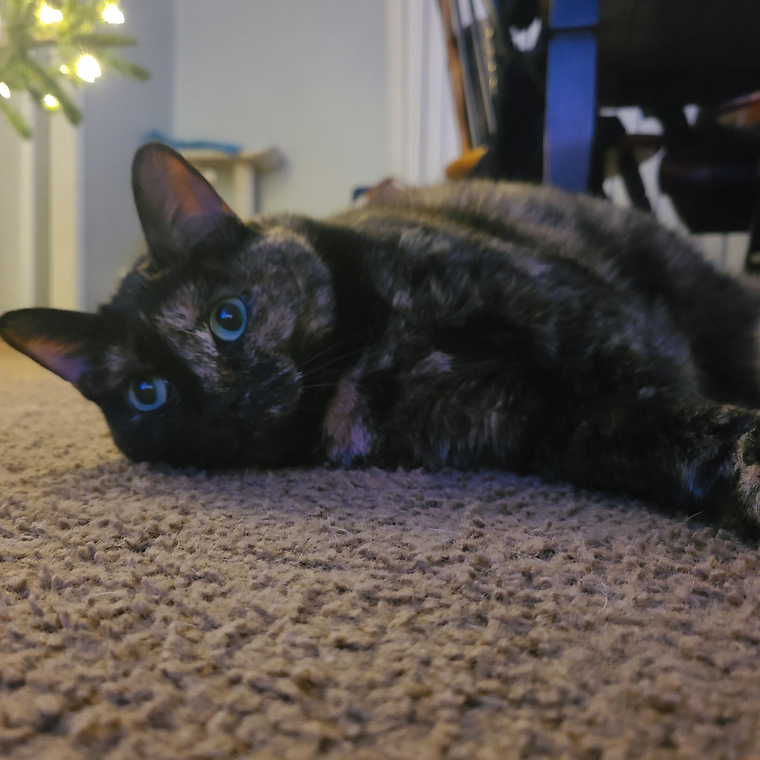 Zetta