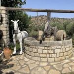 Paraschakis Olive Oil Tour