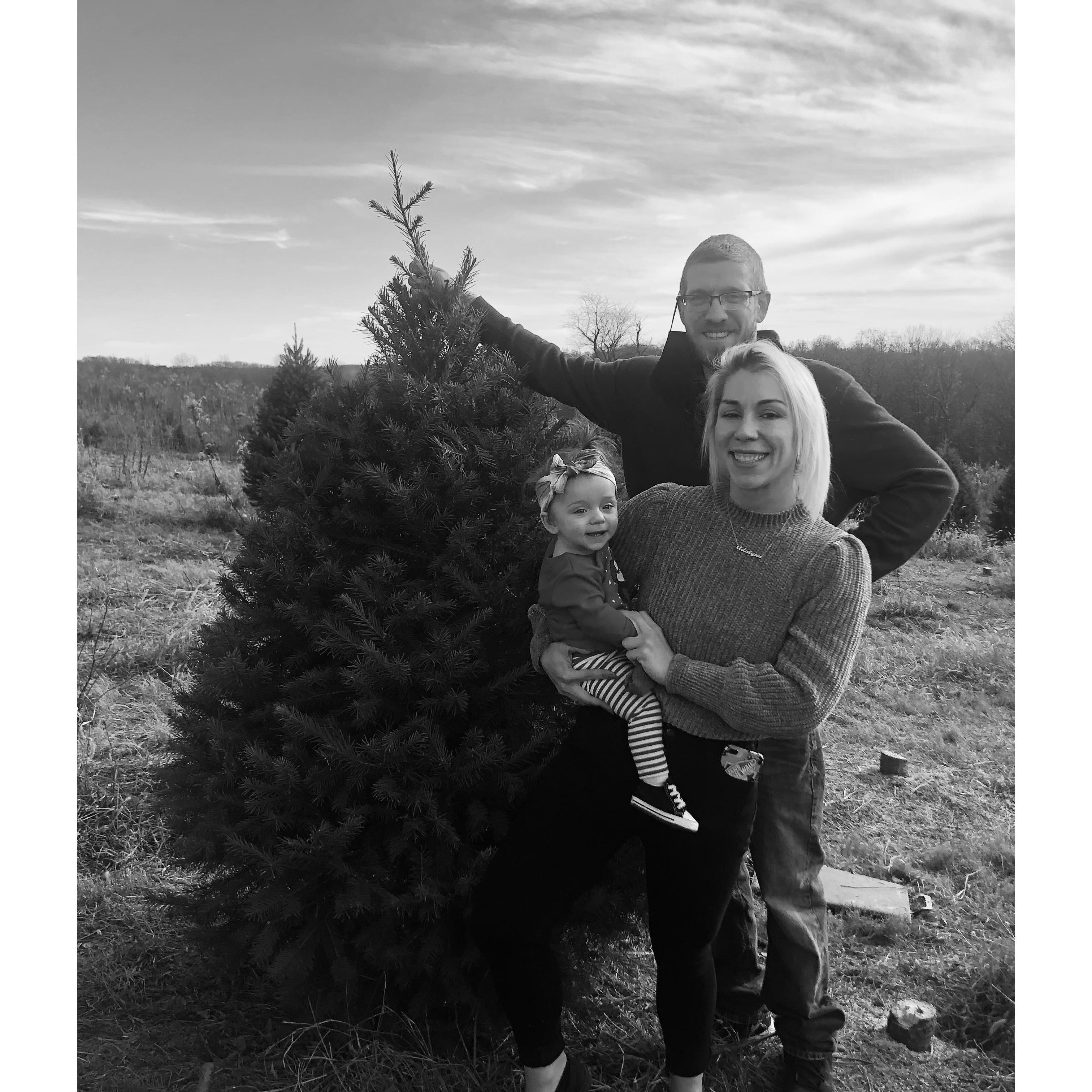 Christmas Tree Farm 2020
