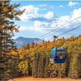 Snowbowl Scenic Gondola