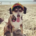 Beaches
