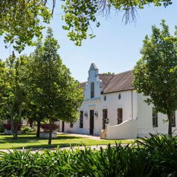 Cata de Vinos en el Vineland de Sudafrica