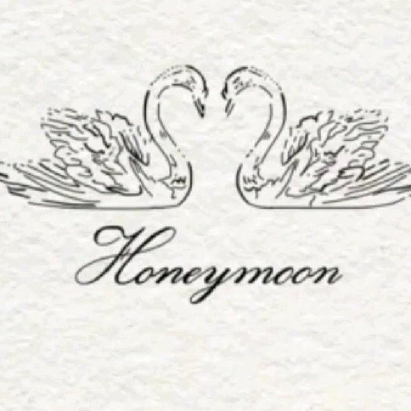 Our honeymoon