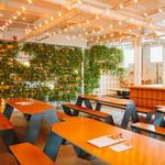 Bayberry Beer Hall